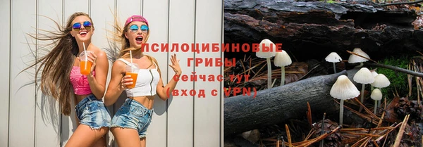 соль ск Алексин