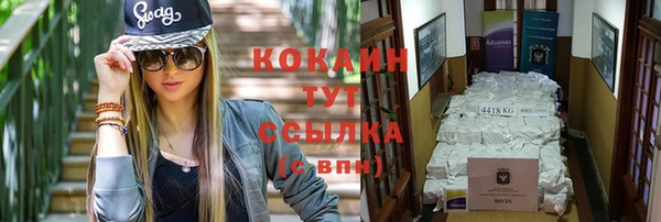 соль ск Алексин