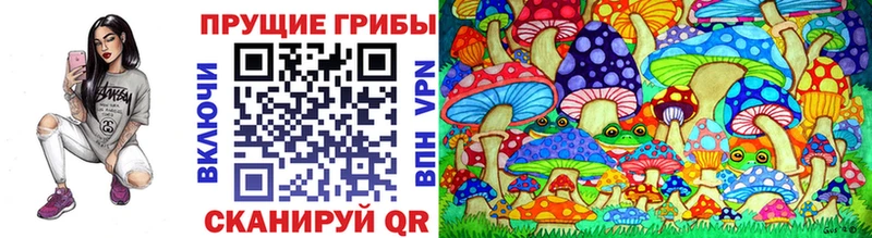 где можно купить   Ува  Псилоцибиновые грибы Magic Shrooms 